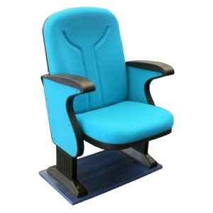 Auditorium Seating Trends: The Risers Are Here to Stay - Turkish ...